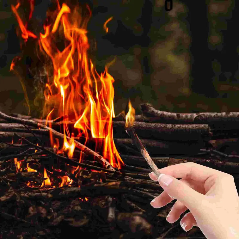 Campfire with flames burning wood and a hand roasting a marshmallow.