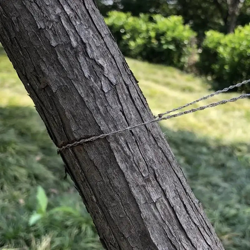 Tree trunk with rough bark wrapped by a thin wire or cable.