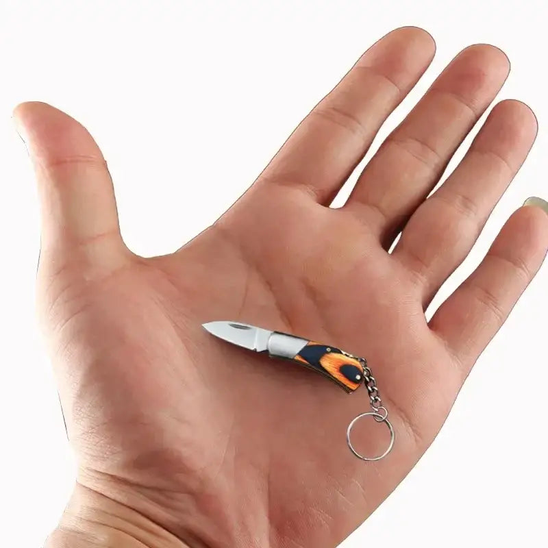 Small folding knife with a keychain attachment resting on an open palm.