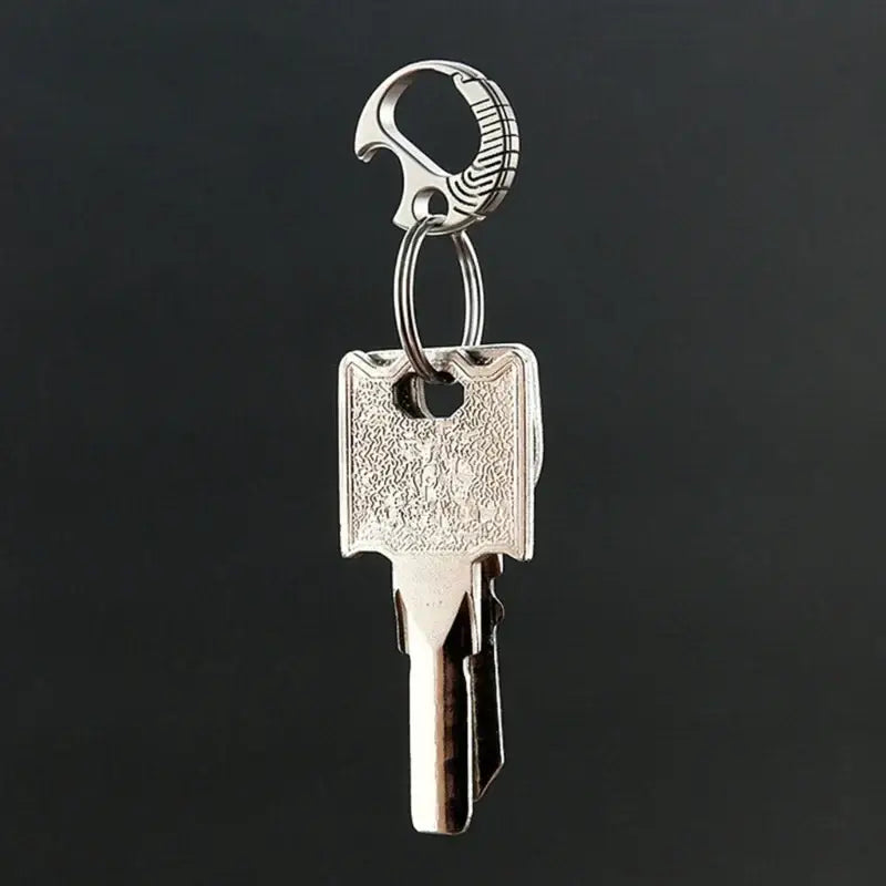 Silver key with an ornate, curved handle attached to a keyring.