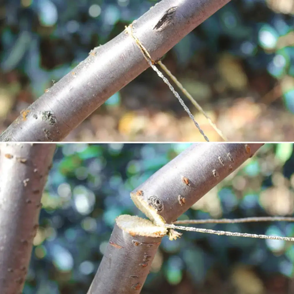 Tree branch with a small twig grafted onto it.