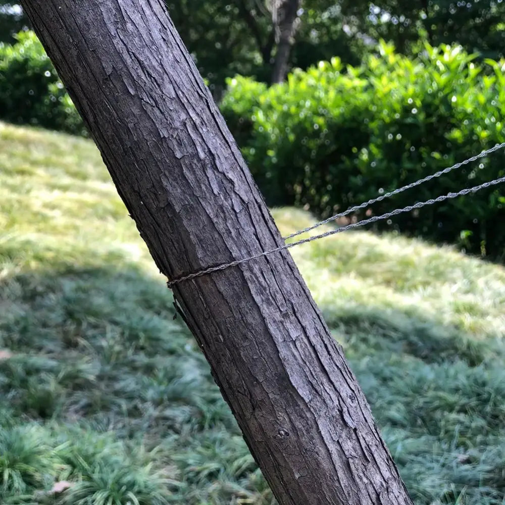 Tree trunk with rough bark and a thin wire wrapped around it.