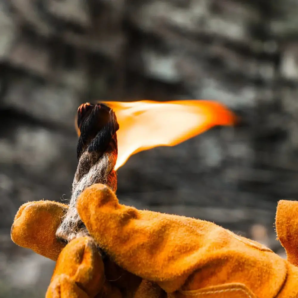 Bright orange flame-like fungus growing on wood.