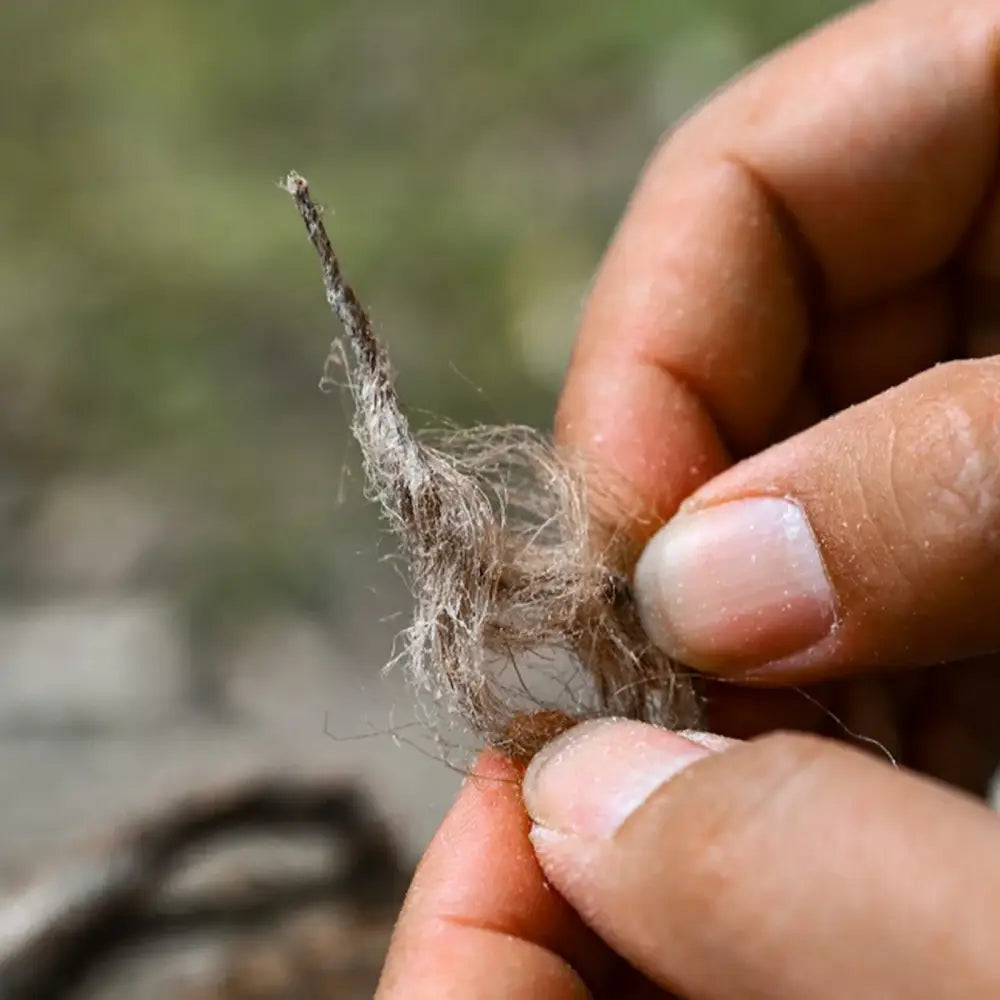 Clump of gray, wispy fibers held between fingers.