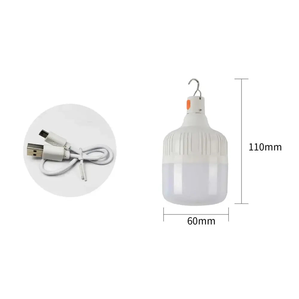 Portable LED light bulb with USB charging cable.